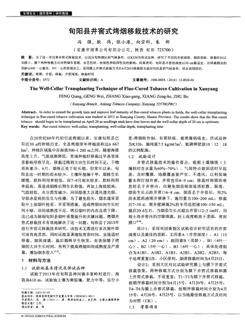 旬阳县井窖式烤烟移栽技术的研究
