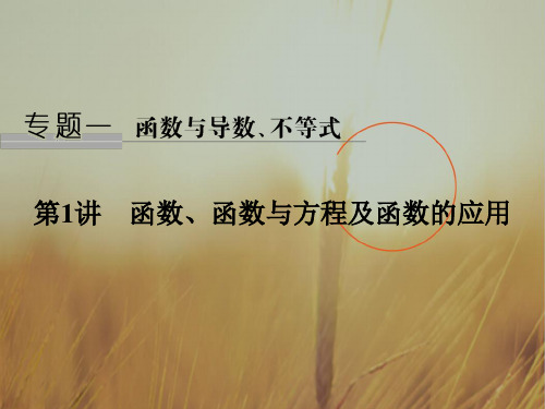 最新-2021届高考数学理二轮复习江苏专用课件：专题一 函数与导数、不等式 第1讲 精品