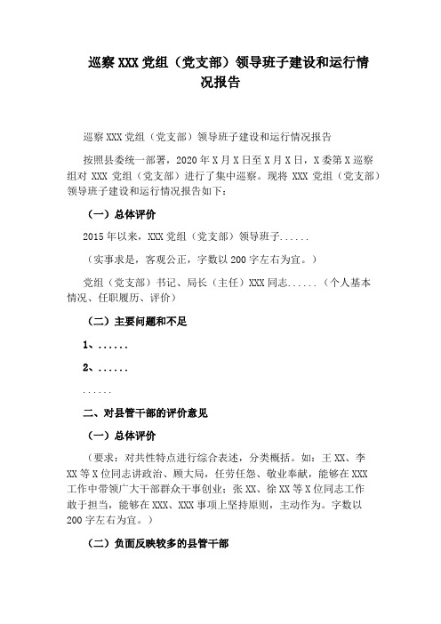 巡察XXX党组(党支部)领导班子建设和运行情况报告