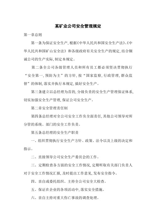 某矿业公司安全管理规定-最新范文