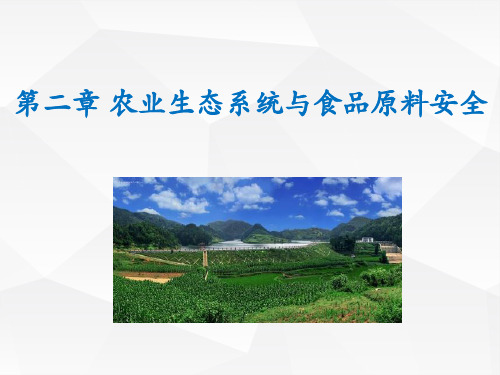 农业生态系统与食品原料安全精品PPT课件