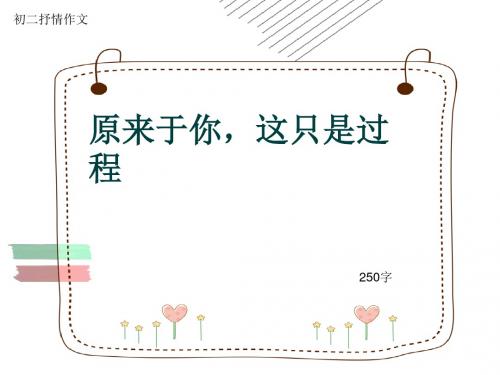 初二抒情作文《原来于你,这只是过程》250字(共6页PPT)