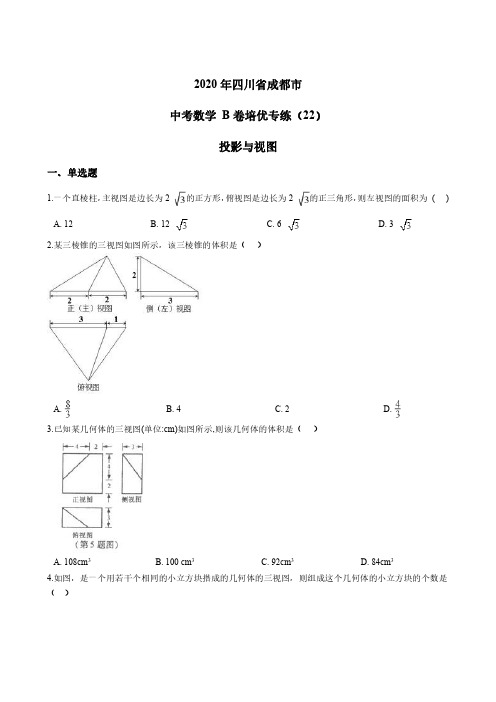 2020年四川省成都市 中考数学 B卷培优专练(22)投影与视图 PDF版含答案