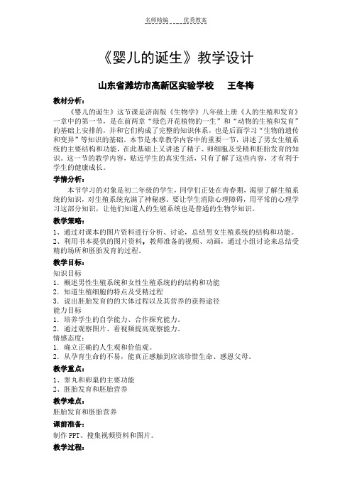 婴儿的诞生教学设计
