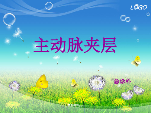 主动脉夹层护理ppt课件