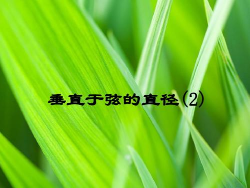 垂径定理(2)