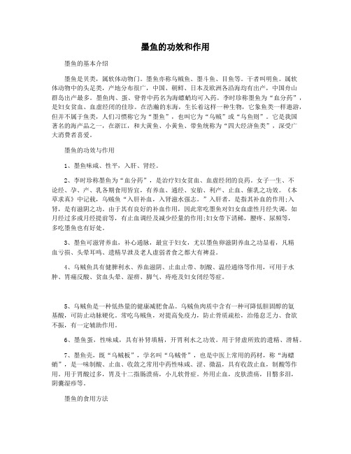 墨鱼的功效和作用