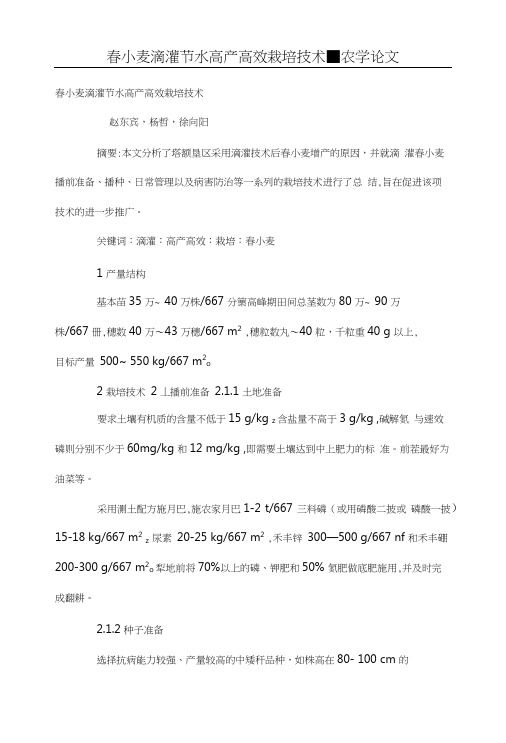 春小麦滴灌节水高产高效栽培技术.doc