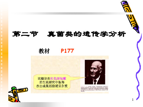 第六章 染色体和连锁群 3PPT课件
