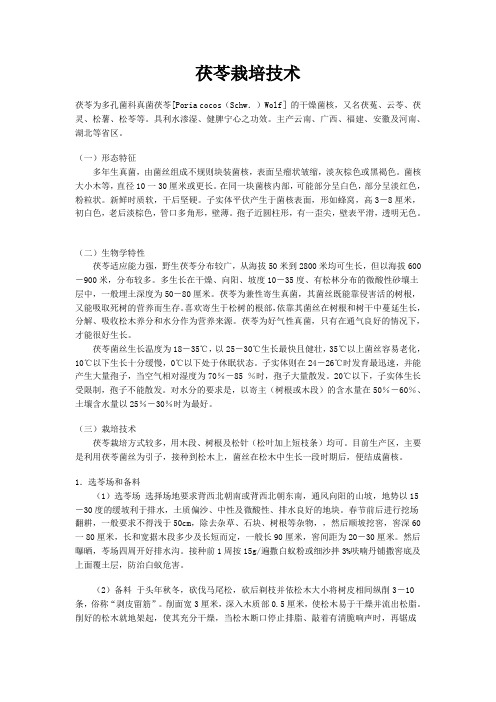 茯苓栽培技术