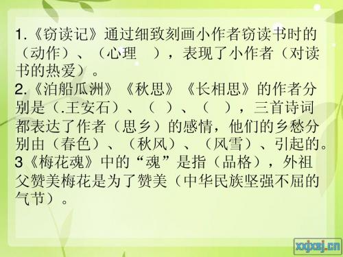 课文精彩回放课件