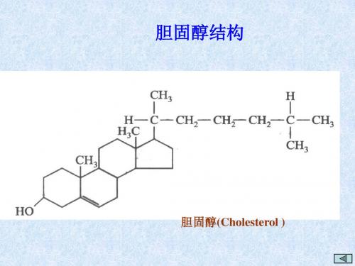 胆固醇结构