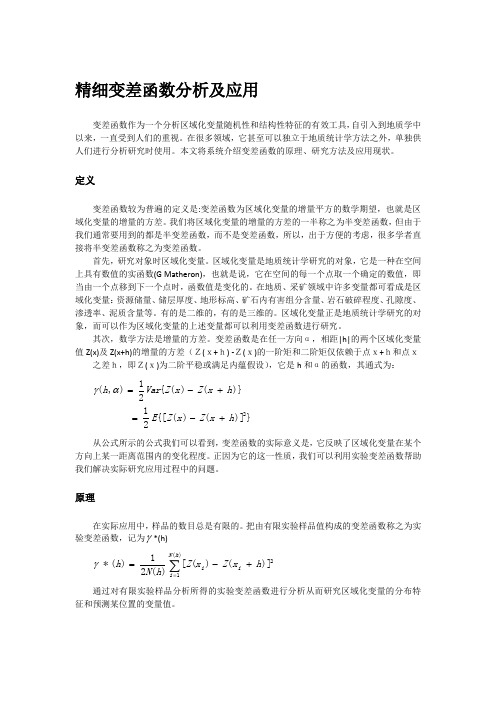 精细变差函数分析及应用文献综述