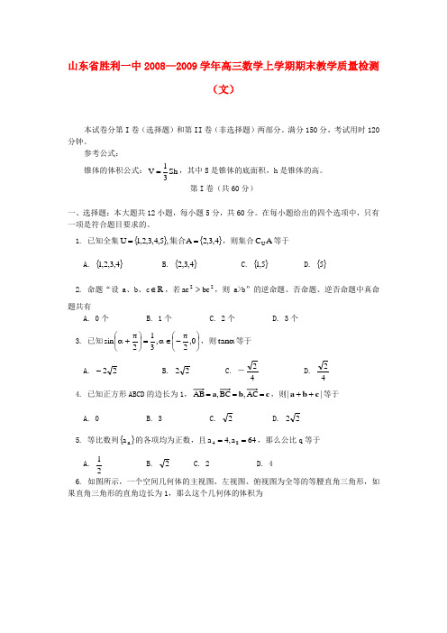 山东省胜利一中—高三数学上学期期末教学质量检测(文)