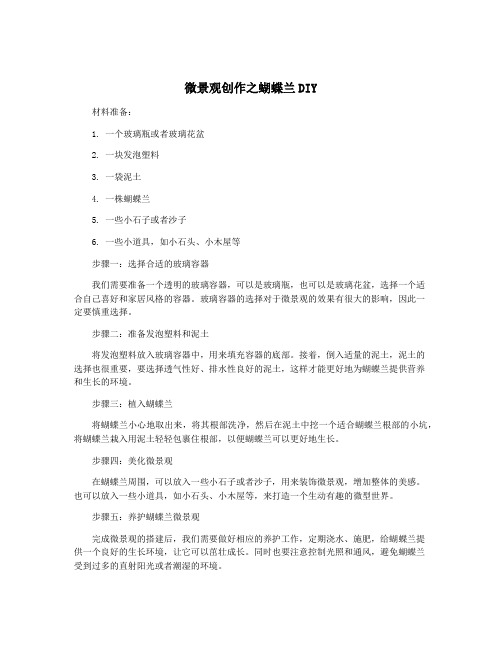 微景观创作之蝴蝶兰DIY