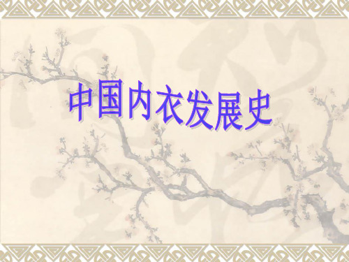 一、中国内衣发展史(家鹏1)