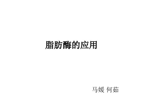 脂肪酶的应用