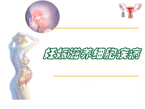 滋养细胞疾病