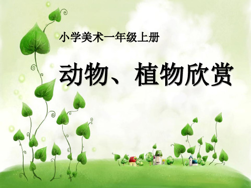 一年级美术上册《动物、植物欣赏》PPT课件(2篇)