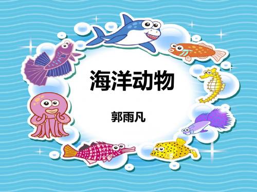 海洋动物