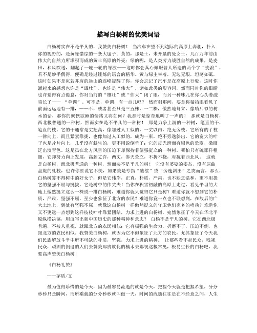 描写白杨树的优美词语