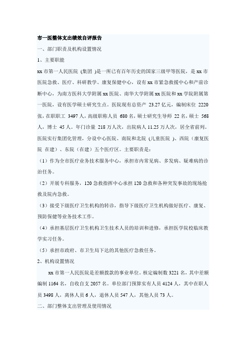 市一医整体支出绩效自评报告