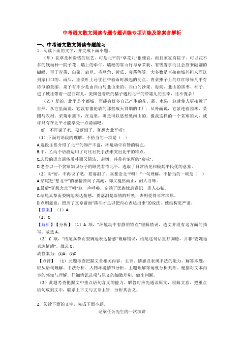 中考语文散文阅读专题专题训练专项训练及答案含解析