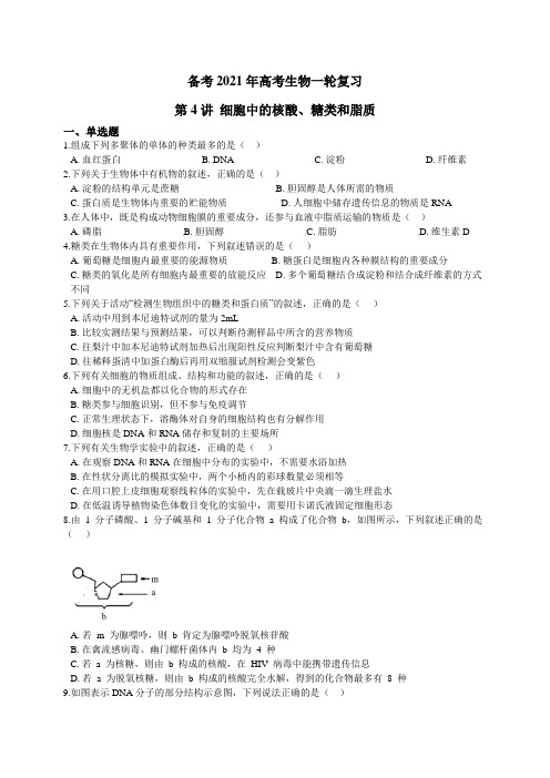 备战2021年高考生物一轮复习第4讲核酸,糖类,脂质