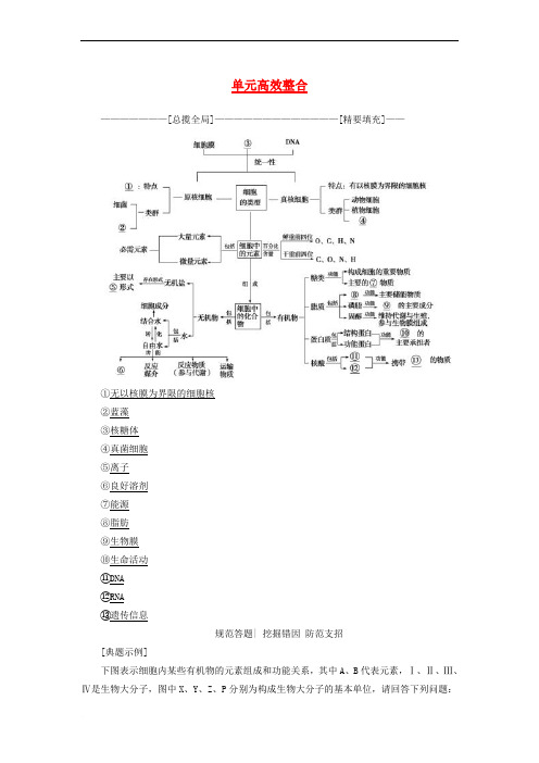 2018版高三生物一轮复习 第1单元 单元高效整合讲义 新人教版必修1