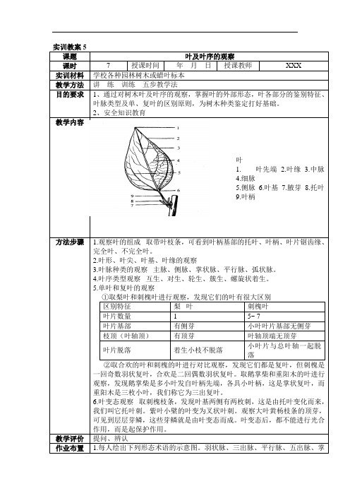 最新中职园林专业实训教案：叶及叶序的观察(农林类)园林