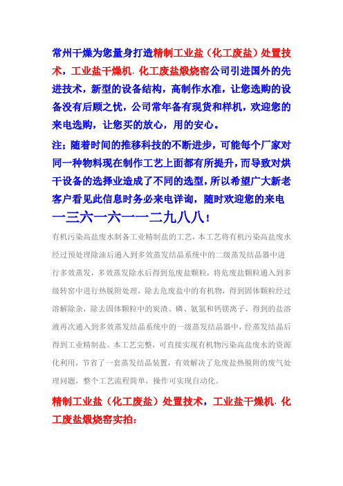 精制工业盐(化工废盐)处置技术-干燥 煅烧
