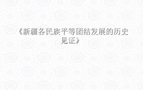 《新疆各民族平等团结发展的历史见证》