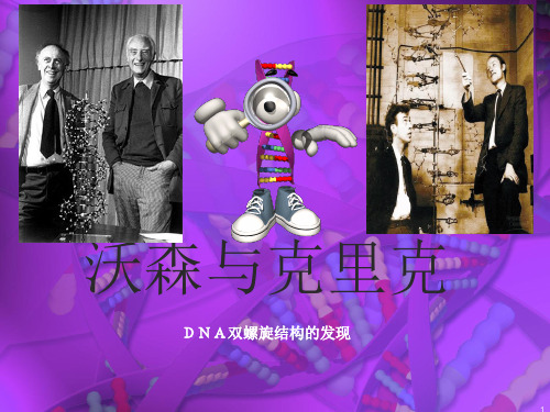 科学家简介PPT 沃森与克里克ppt课件