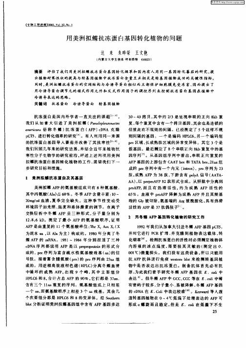 用美洲拟鲽抗冻蛋白基因转化植物的问题