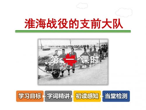 淮海战役的支前大队PPT新课件