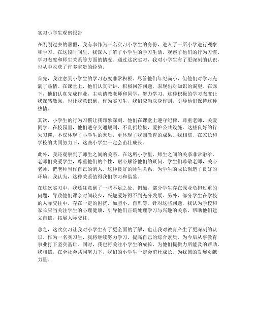 实习小学生观察报告