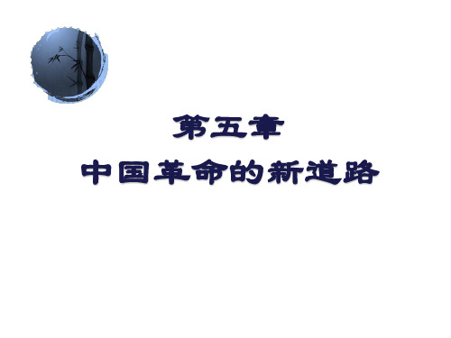 近现代史第五章课件(苗老师)