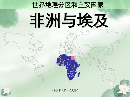 《非洲和埃及》经典课件