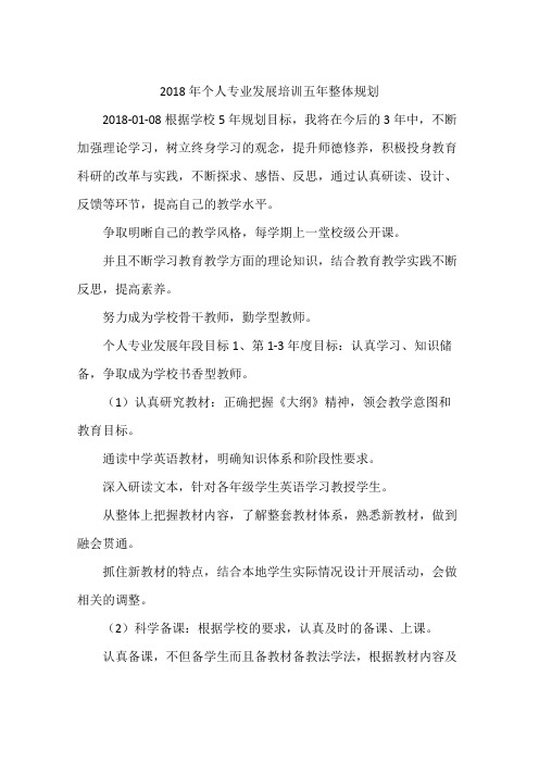 2018年个人专业发展培训五年整体规划