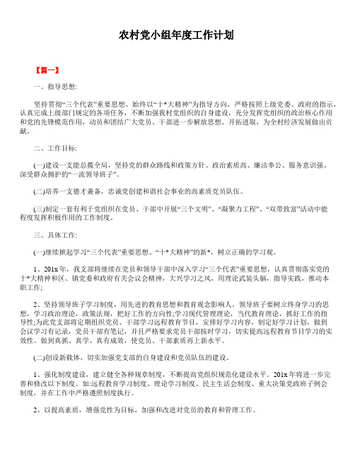 2020年最新版精选农村党小组年度工作计划