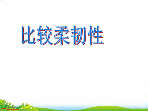 【教科版】《比较韧性》PPT-实用课件1