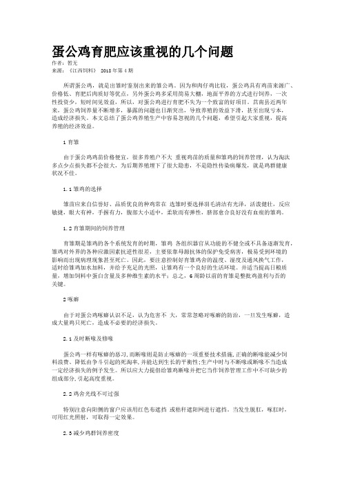 蛋公鸡育肥应该重视的几个问题