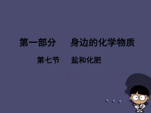 (广东地区)2016中考化学 第一部分 身边的化学物质 第七节 盐和化肥复习课件 新人教版