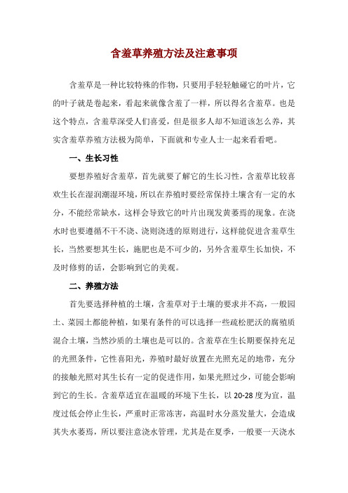 含羞草养殖方法及注意事项