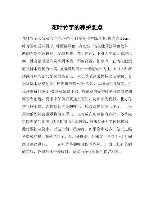 花叶竹芋的养护要点