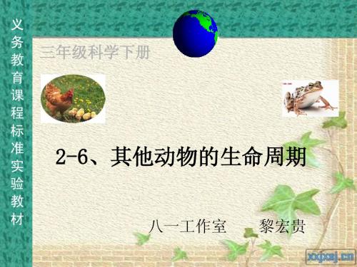 教科版小学三年级科学下册第二单元第六课《其他动物的生命周期》课件
