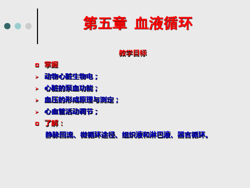 动物生理学5血液循环