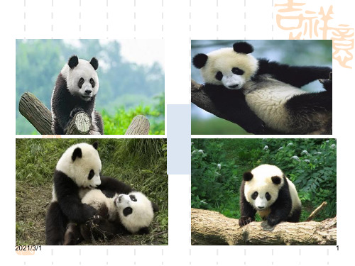 苏教版二年级上册《我叫黑脸琵鹭》0PPT精品课件