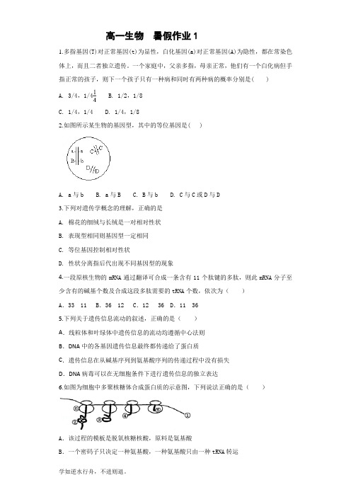 高一生物暑假作业1