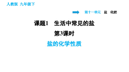 2020-2021学年人教版九年级下册化学习题课件 11.1.3 盐的化学性质